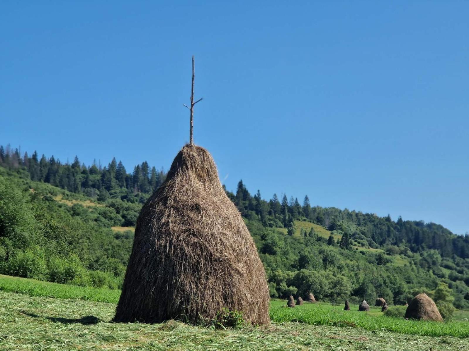 Вілла Річка Exterior photo